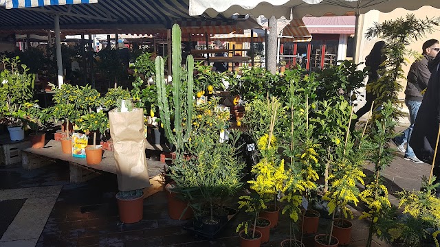 Mercado Niza