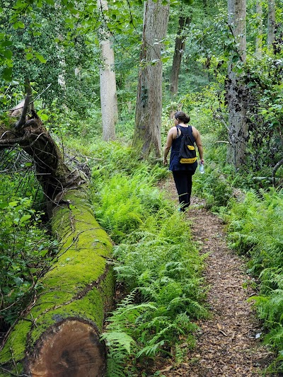 Pine Branch Trail