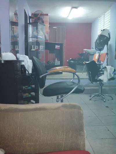 Photos of D FIORI SALON