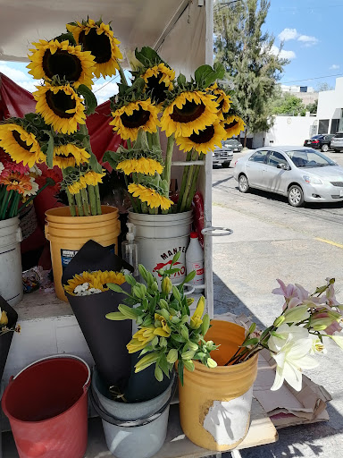 Venta de rosas - Visual