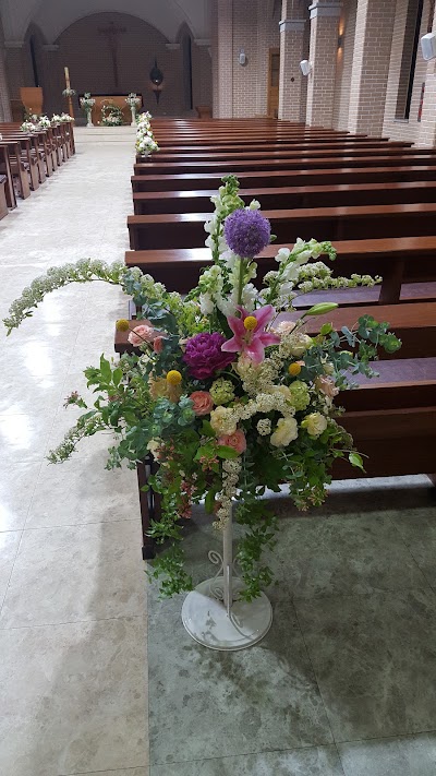 Photos of 광적성당
