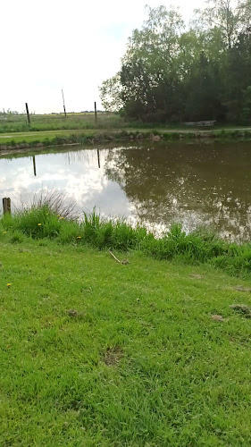 Opinii despre Morsø Fiskepark - Fiskesø, fiskeri & put and take în Nykøbing Mors - Andet