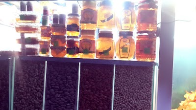 Photos of اجباس الصبطين