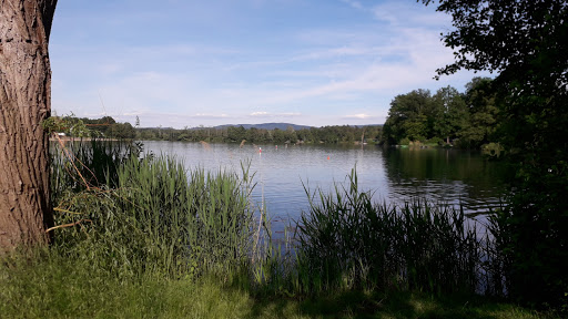 GUE Großkrotzenburger Unterwasser Experten - Thumbnail