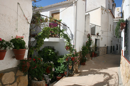 Ayuntamiento de Orcera - Thumbnail