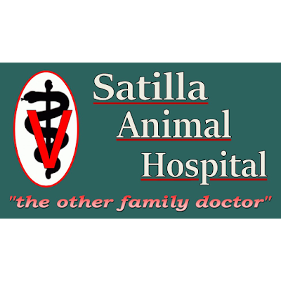 veterinary-care