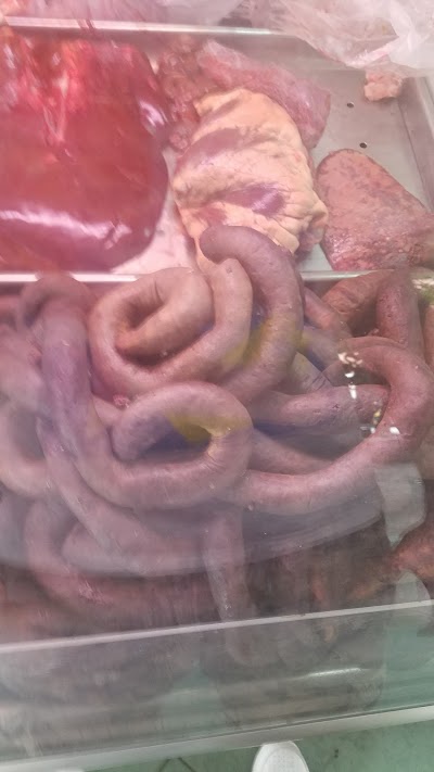 Photos of Ledacom (suramericana)
