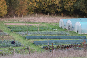 Photo n°18 de Le jardin des renaissances à Salies-de-Béarn (Maraîcher)