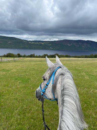 Loch Ness Riding - Experienced riders only! Gallery - United Kingdom
