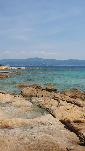 Avis sur Restaurant Chez Pech à Ajaccio - Restaurant