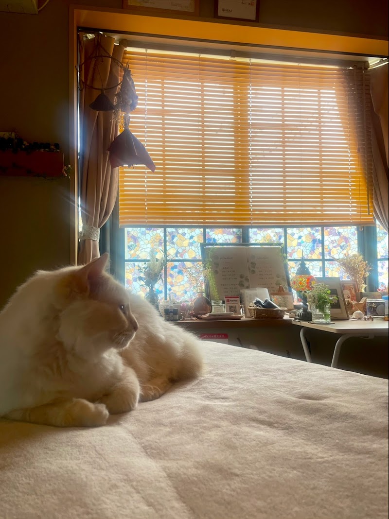 マッサージソエルテ