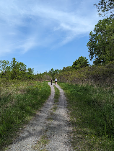 Kingfisher Drive Park - Thumbnail