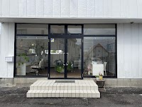 NOEVIR Beauty Studio Swan