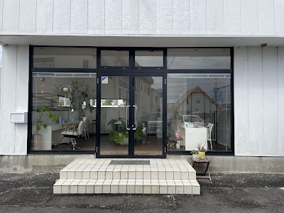 NOEVIR Beauty Studio Swan