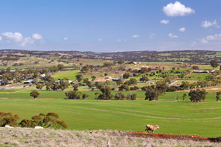 Muresk Institute: Western Australia's skills hub for modern agriculture 1 Muresk Rd, Northam WA 6401, Australia