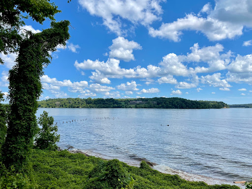 Mt Vernon Trail Trailhead - Thumbnail