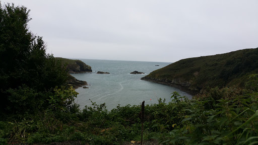 Solva Holiday Cottages - Thumbnail