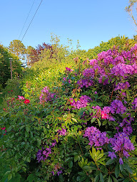 Photo n°8 de Gîtes de Kerleguer à Douarnenez (Lodge)