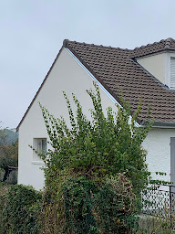 Photo n°12 de Rénovation Bauer Sèvres - Couverture Charpente Réparation Fuites Démoussage Ravalement Façade Toiture Hauts-de-Seine 92 à Sèvres (Façadier)