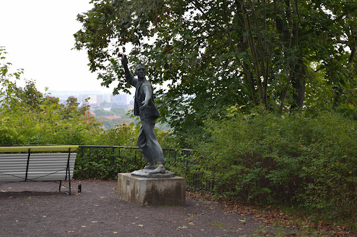 Buchenwaldblick - Thumbnail