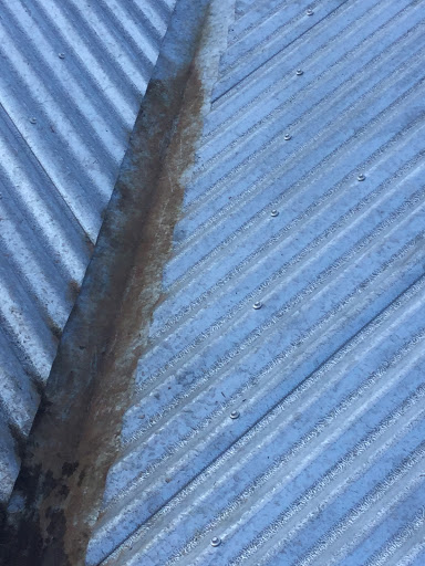 Premium window and Gutter cleaning