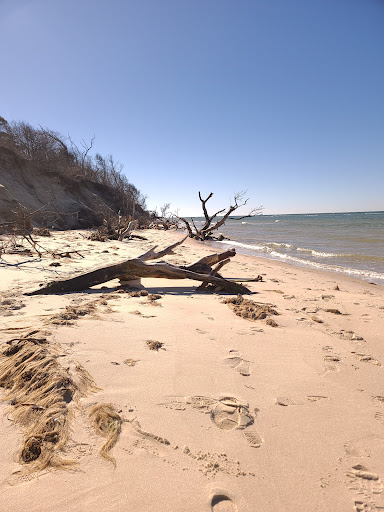 Savage Neck Dunes Natural Area Preserve - Thumbnail