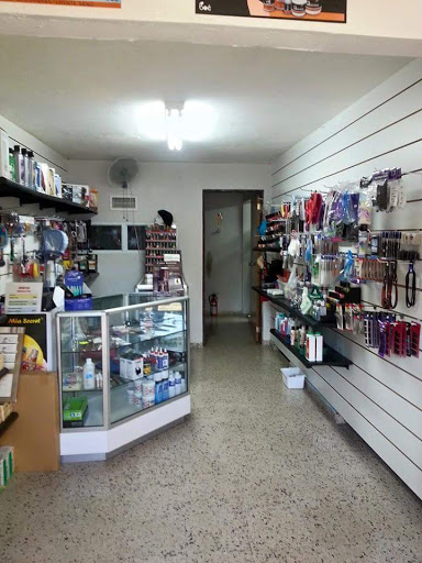 Millenum Salon - Visual