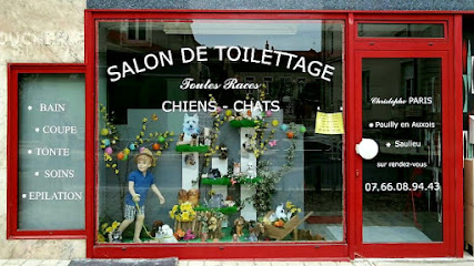 Paris Christophe - Toilettage Canin