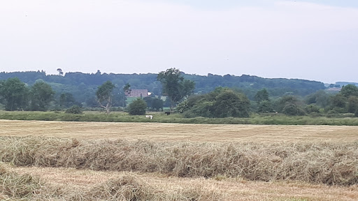 Buckley Farm Campsite - Thumbnail