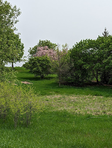School Knoll Park - Thumbnail