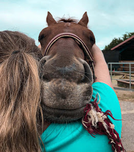 Tierarzt & Osteopathie Claudia Otto Hermann-Manskopf-Weg 12, 57223 Kreuztal, Deutschland