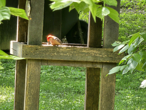 Clifty Falls State Park Nature Center - Thumbnail