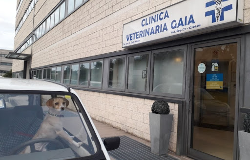 Clinica Veterinaria GAIA Ancona - Servizio di Oncologia Veterinaria - Thumbnail