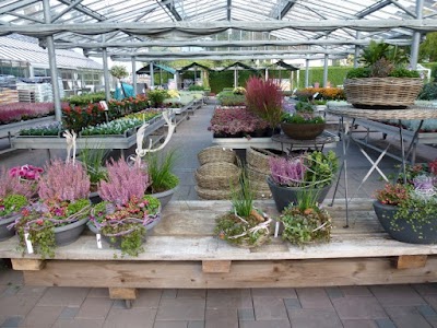 Photos of Flowers Huschle - floristry and gardening