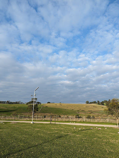 Ferntree Park - Thumbnail