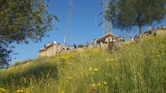 Bunkers del Carmel