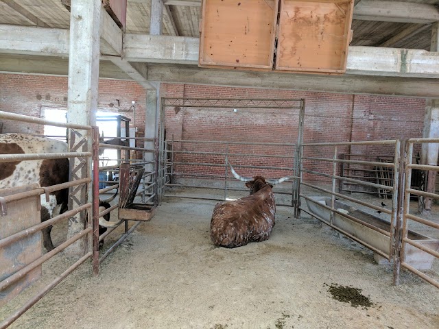 Fort Worth Stockyards Station