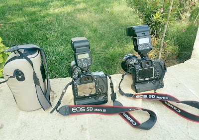 Photos of Photo Mystery
