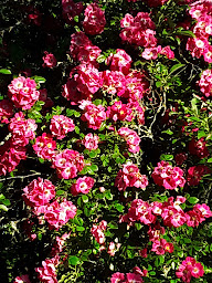 Photo n°6 de Gîte Le Baroussat à Idrac-Respaillès (Gîte)