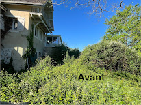 Les Beaux arbres Aire sur Adour Elagage à Aire-sur-l'Adour