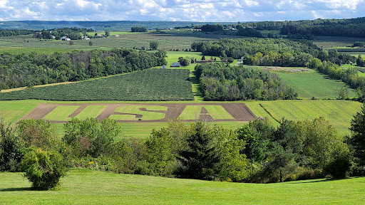Penn Yan, NY - USA Field