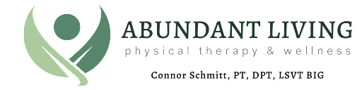 Abundant Living Physical Therapy and Wellness - Thumbnail