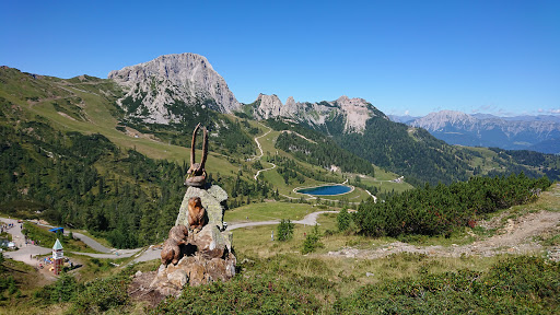 Sommerrodelbahn Pendolino - Thumbnail