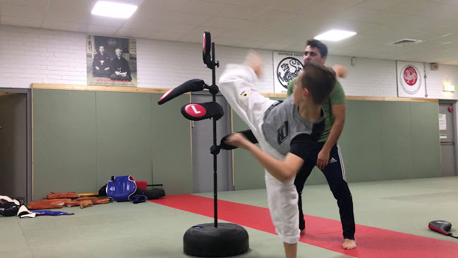 Karoon Taekwondo Vibast Community Centre - London