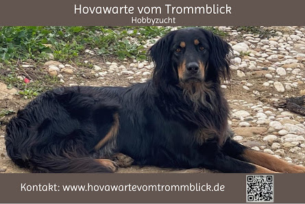 Hovawarte vom Trommblick Holzbergstraße 23, 64668 Rimbach