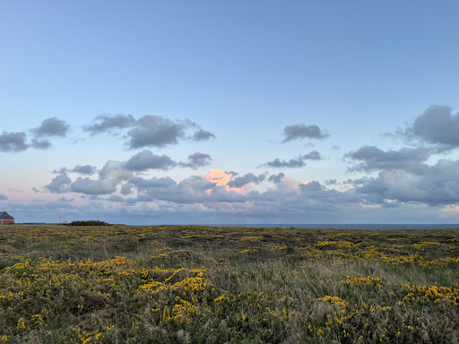 Photo de Hôtel Le Grand Large Belle-Île-en-Mer à Bangor (56360)
