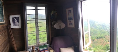 Photos of Old Tavern Coffee Estate