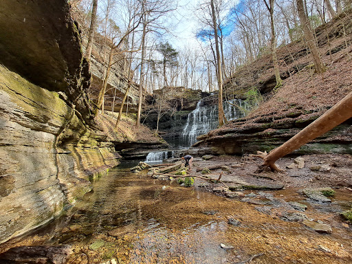 Short Springs Natural Area - Thumbnail
