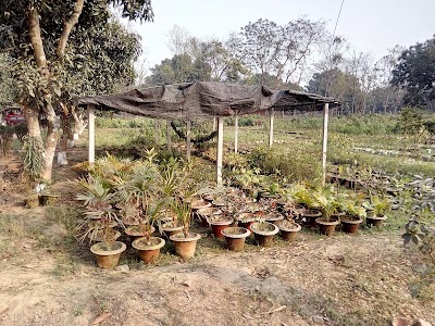 Photos of BRAC Nursery Dinajpur