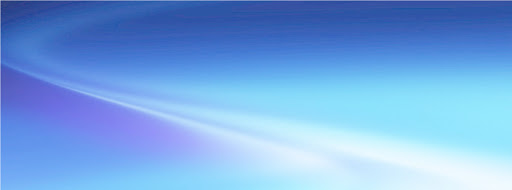 Legacy Security Technology Inc - Thumbnail